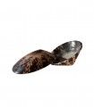 Coquillage d'allaitement Bébé Nacre