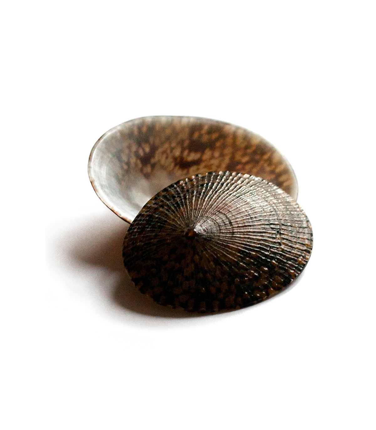 Coquillage D Allaitement Bebe Nacre