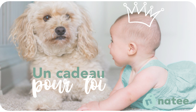 
			                        			Un cadeau pour toi 